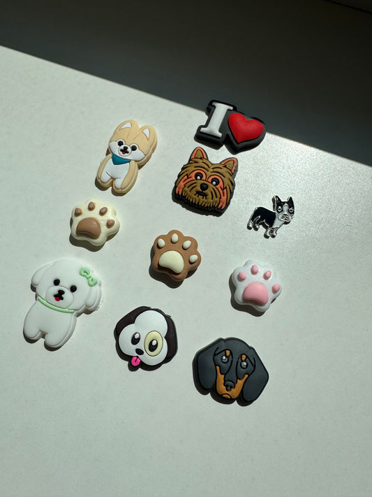 Puppy